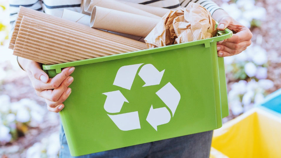 reciclaje Eco-Friendly