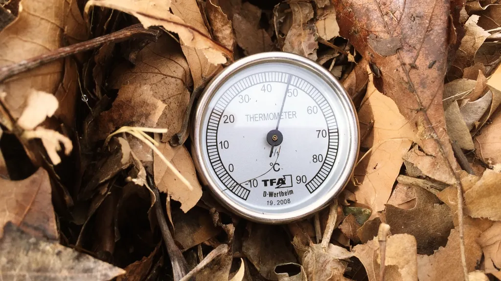 termometro de compost