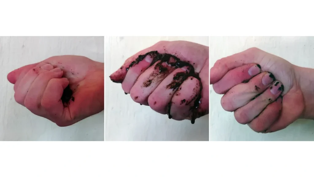 Cómo comprobar humedad correcta en vermicompostador con lombrices californianas