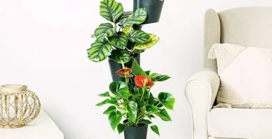 Macetas riego wifi Ebony