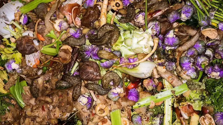 babosas en el compostaje