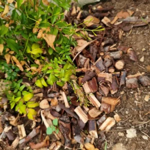 Resultado triturado DOVAMAN GT10 fragmentos madera seca para compostaje