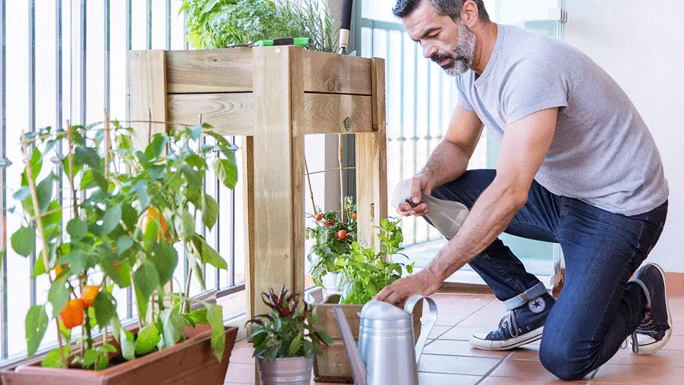 donde colocar el huerto urbano